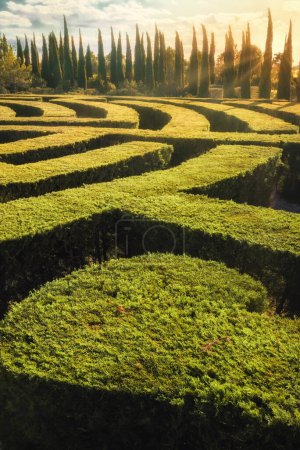 Photo for Vertical shot of a Labyrinth in sunset - Royalty Free Image