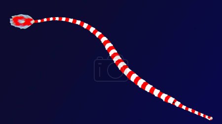Photo for Banded pipefish spotted in tropical ocean, Indo-Pacific region - Royalty Free Image