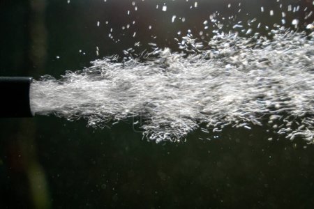 Téléchargez les photos : Bulles du filtre à oxygène dans l'aquarium - en image libre de droit