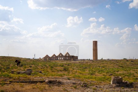 Foto de Ruinas de la antigua ciudad de Harran en Mesopotamia. - Imagen libre de derechos