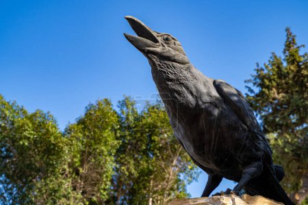 Téléchargez les photos : Statue de corbeau au centre-ville de Famagouste. Famagusta (Gazimagusa), Chypre du Nord - 8 novembre 2023. - en image libre de droit