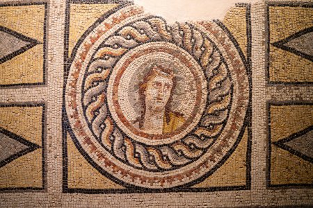 Téléchargez les photos : Le "Dionysos Portrait Mosaic" est dans Gaziantep Zeugma Mosaic Museum. - en image libre de droit