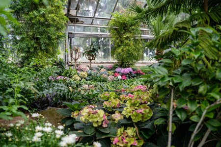 Interior view of Allan Gardens Conservatory. Plants and flowers at Allan Gardens.