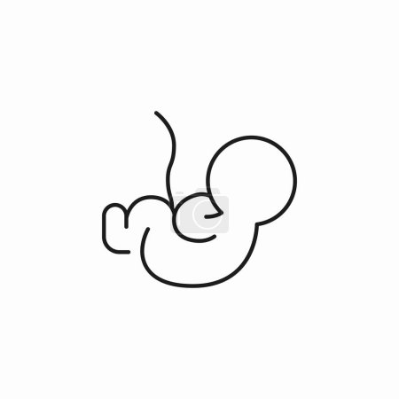 Foto de Bebé en el icono de Bud Embryo - Imagen libre de derechos