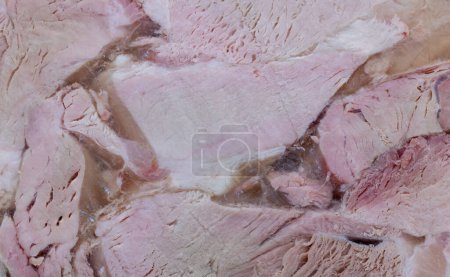 Photo for Pork Ham Texture: A Rustic and Delicious Delight. - Royalty Free Image