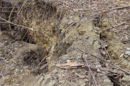 Téléchargez les photos : La force de la nature : voir la dévastation d'un glissement de terrain. - en image libre de droit
