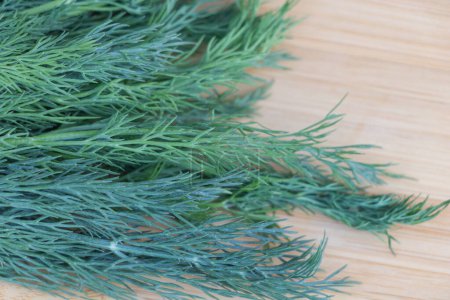 Photo for Fresh dill on wooden background. Close up. Selective focus. - Royalty Free Image