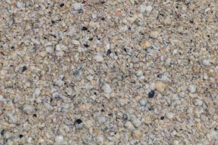 Téléchargez les photos : Fond de sable et de galets sur la plage. Gros plan. - en image libre de droit