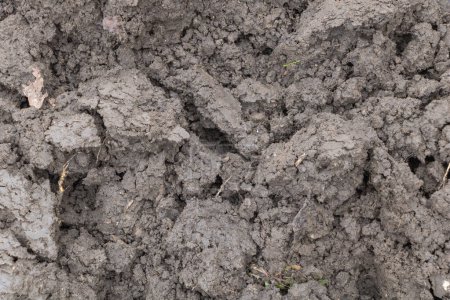 A closeup shot of the soil texture, showcasing its intricate details and textures.