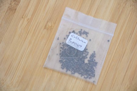 Una pequeña bolsa de plástico de semillas de amapola de California yacía sobre la mesa.