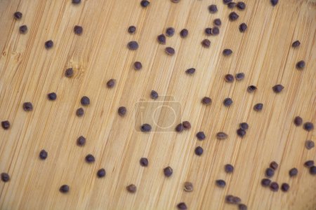 A top view of Mimosa pudica seeds on wooden background texture - growing from seed concept.