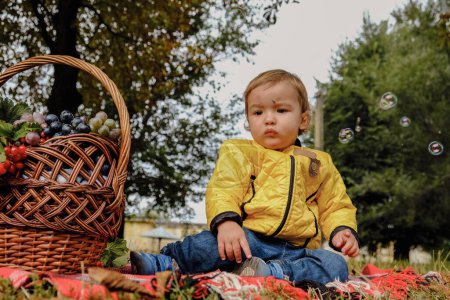 Téléchargez les photos : Enfant lors d'un pique-nique d'automne avec un panier de raisins. Conteneur en osier avec des baies de viorne. Enfant heureux dans la nature - en image libre de droit