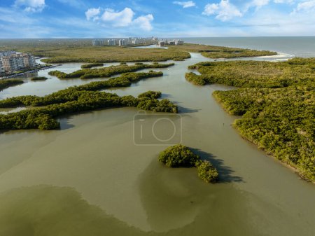 Blue sky over mangrove waterway just beyond the ocean in Bonita Beach, Florida.