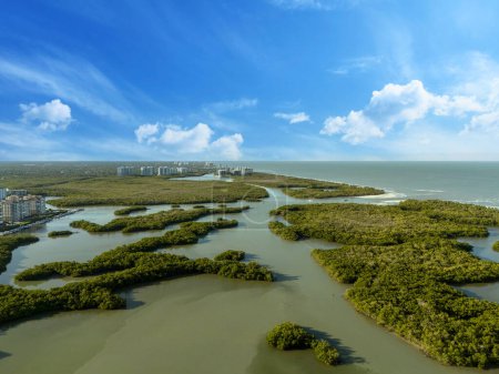 Blue sky over mangrove waterway just beyond the ocean in Bonita Beach, Florida.