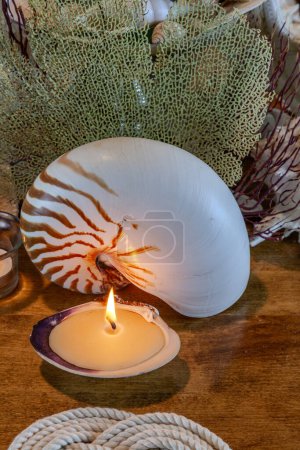 Muschel- und Kerzendekoration auf einer nautischen Tischdekoration mit natürlichen Farben und tiefem Blau.