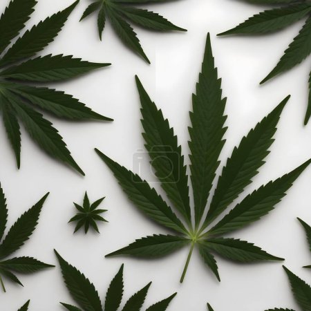 A solitary, vibrant green cannabis leaf is centered against a stark white backdrop, showcasing its intricate serrated edges