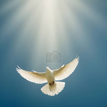 A single white dove soars with outstretched wings, illuminated by the radiant sunlight that breaks through the fluffy clouds in the serene blue sky, creating a peaceful and harmonious scene.