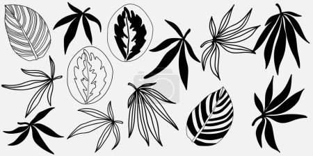 Illustration of the flowers on a white background. Vector illustration.