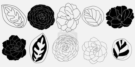 Illustration of the flowers and leaves on a white background. Vector illustration. 