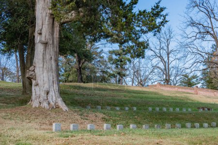 Téléchargez les photos : Massachusetts Soldiers Graves, Fredericksburg National Cemetery, Virginie États-Unis, Fredericksburg, Virginie - en image libre de droit