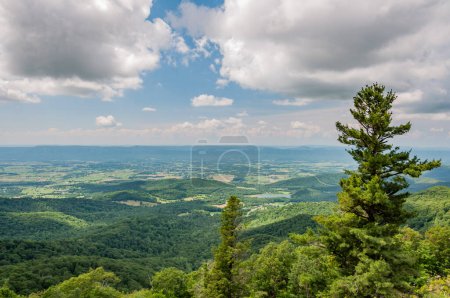 Téléchargez les photos : Celebrating the Solstice in Shenandoah National Park, Virginia USA, Virginia - en image libre de droit