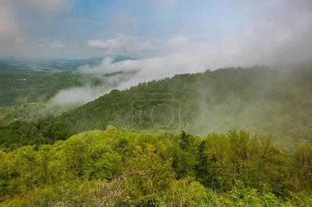 Foto de Rain and Fog in the Appalachian Mountains, Virginia USA, Virginia - Imagen libre de derechos