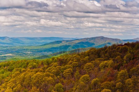 Foto de Its Springtime in Shenandoah National Park, Virginia USA, Virginia - Imagen libre de derechos
