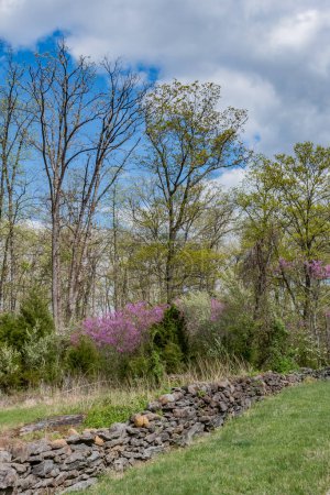 Téléchargez les photos : Une belle promenade printanière sur le champ de bataille, Gettysburg, Pennsylvanie États-Unis, Gettysburg, Pennsylvanie - en image libre de droit