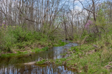 Téléchargez les photos : Willoughby Run on a Spring Afternoon, Gettysburg Pennsylvanie États-Unis, Gettysburg, Pennsylvanie - en image libre de droit