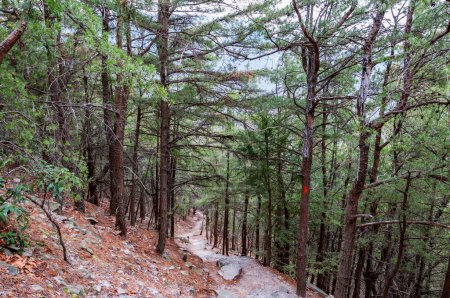 Photo for Hiking the Thousand Steps Trail on a Winter Day, Pennsylvania USA, Mapleton, Pennsylvania - Royalty Free Image