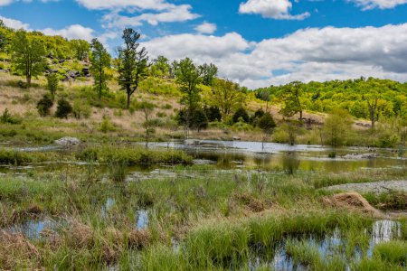 Téléchargez les photos : Un beau matin de printemps au Beaver Pond, Gettysburg Pennsylvanie USA - en image libre de droit