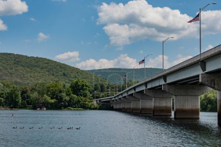Foto de Gansos en el ramal occidental del río Susquehanna, Williamsport, Pennsylvania, EE.UU. - Imagen libre de derechos