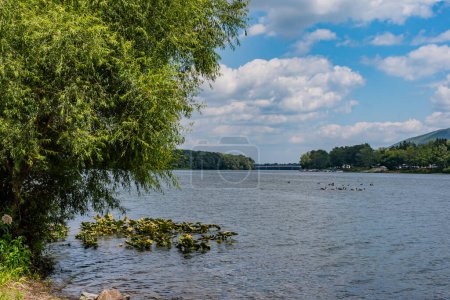 Foto de The Western Branch of the Susquehanna River from the State Park, Williamsport, PA USA - Imagen libre de derechos