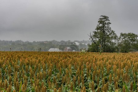 Foto de Otro día de otoño tormentoso en el campo de batalla de Gettysburg, Pensilvania, EE.UU. - Imagen libre de derechos