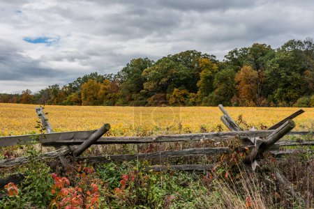 Téléchargez les photos : Les champs sont lumineux avec des couleurs d'automne, Gettysburg Pennsylvanie USA - en image libre de droit