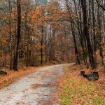 The Northern Central Rail Trail on a Rainy Day, Monkton Maryland USA