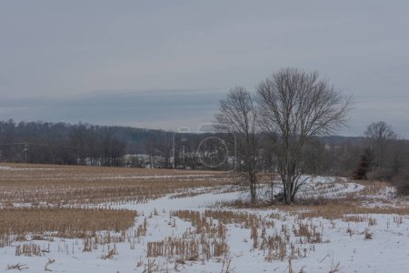 Téléchargez les photos : Cornfield un après-midi de janvier enneigé, Gettysburg Pennsylvanie USA - en image libre de droit