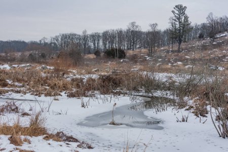 Frozen Plum Run an einem verschneiten Januarnachmittag, Gettysburg Pennsylvania USA