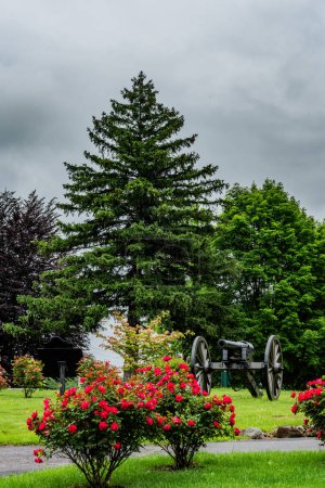 Fleurs de roses et de canon dans le cimetière, Adams County Pennsylvania USA