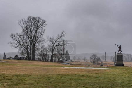 Die Baumkronen während eines schweren Regensturms, Gettysburg Pennsylvania USA