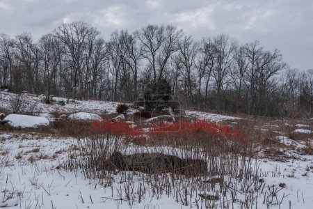 Foto de Un toque de color en un día de invierno desolador, Gettysburg Pennsylvania USA - Imagen libre de derechos