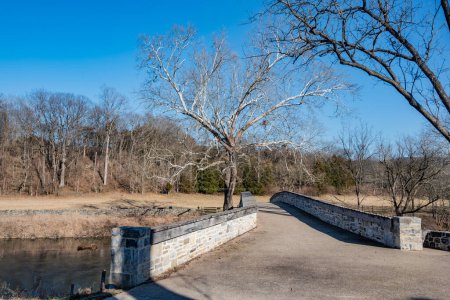Téléchargez les photos : The Burnside Sycamore on a Winter Afternoon, Antietam National Battlefield, Maryland États-Unis - en image libre de droit