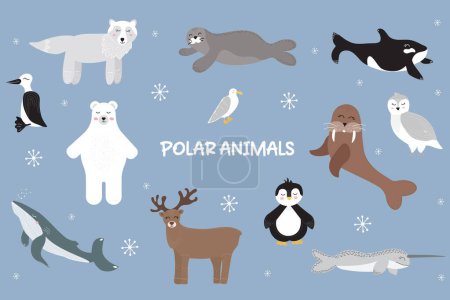 Vector illustration of cute polar animals, seabirds and mammals. Big set of wild arctic animals. Whale, narwhal, walrus, polar owl, polar bear, penguin, guillemot, albatross. Arctic deer.