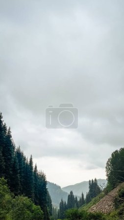 Photo for A beautiful landscape of a valley with misty mountains in the background and lush green trees in the foreground. - Royalty Free Image