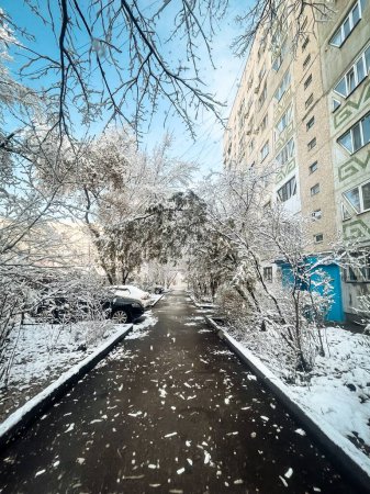 Un paisaje invernal sereno con un sendero cubierto de nieve que serpentea entre árboles y edificios, creando una hermosa escena nevada.