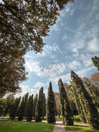 L'image montre un parc avec beaucoup d'arbres verts, un ciel bleu clair et une allée pavée au premier plan.