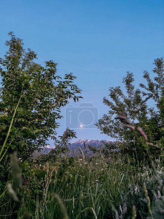 A stunning photo of the full moon rising over mountains and trees in a serene landscape. Blue sky, bright moon, tree silhouettes.