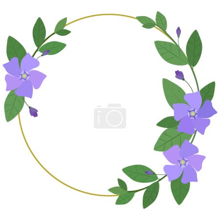Illustration for Round gold frame with periwinkle flowers isolated on a white background. Spring vector frame. - Royalty Free Image