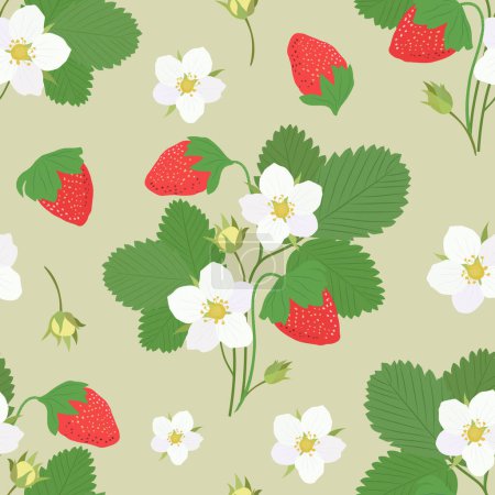 Téléchargez les illustrations : Un buisson de fraises en fleurs avec des baies sur un fond beige. Modèle vectoriel sans couture. - en licence libre de droit