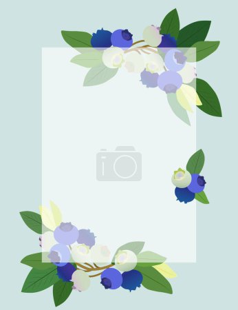 Illustration for Delicate frame with blueberries on a blue background. Vector illustration. - Royalty Free Image